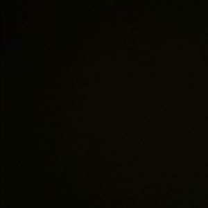 Meet your Posher, Lucille